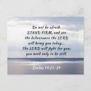 Exodus 14:13-14 Do not be afraid STAND FIRM Postcard
