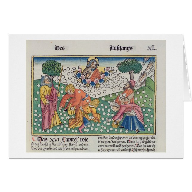 Exodus 16 13-22 God provides quail and manna to th (Front Horizontal)