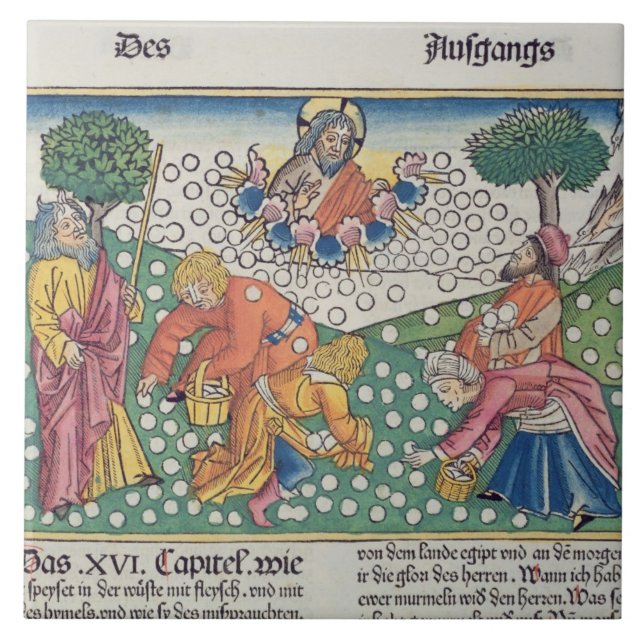 Exodus 16 13-22 God provides quail and manna to th Tile (Front)