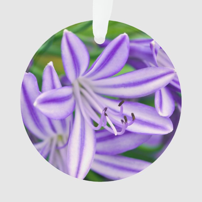 Exotic African Lily Ornament (Front)