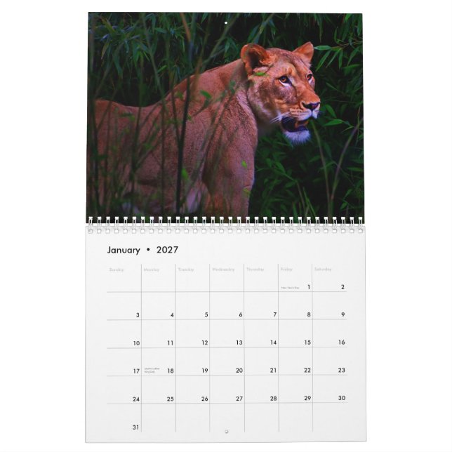 Exotic Animals calendar (Jan 2027)