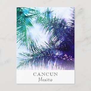 *~* Exotic AP25 Palm Leaf Personalise -  Travel Postcard