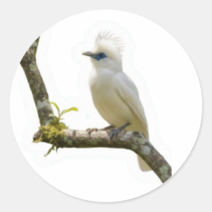 ​Exotic Bali Starling Bird Cultural Heritage Stick Classic Round Sticker