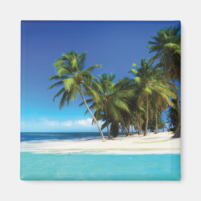 Exotic beach throw pillow magnet (Front)
