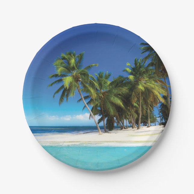 Exotic beach throw pillow paper plate (Front)