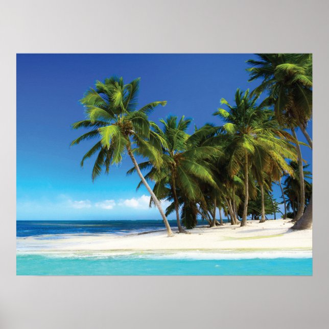 Exotic beach throw pillow poster (Front)