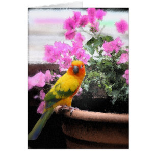 Exotic Bird