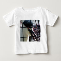 Exotic Bird at the Zoo image