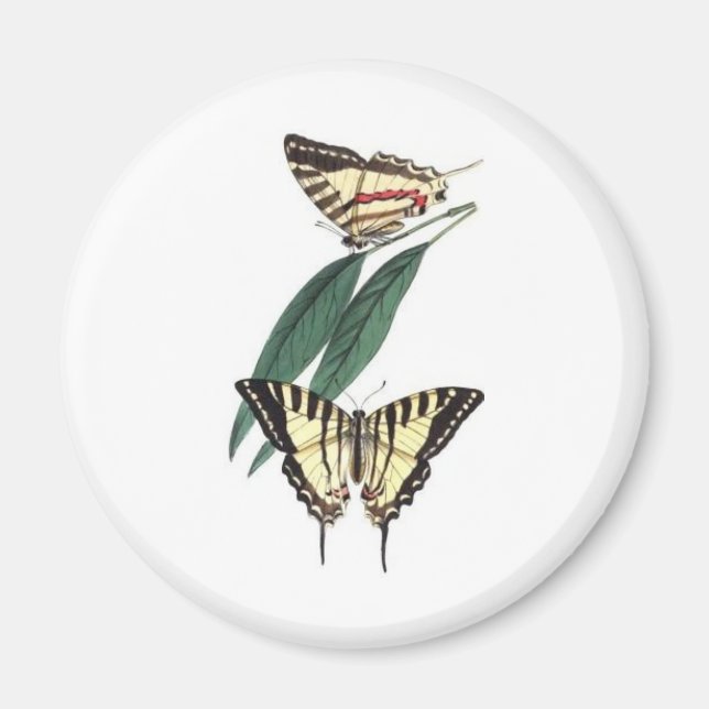 Exotic Bird Fridge Magnet (Front)