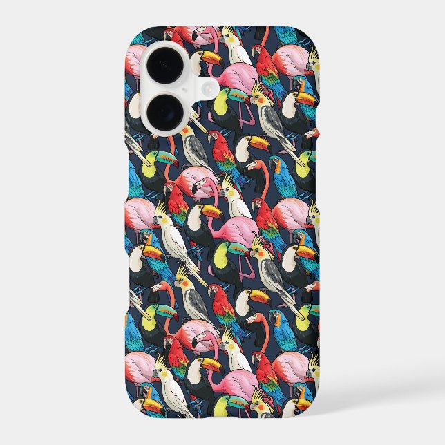Exotic birds (Back)