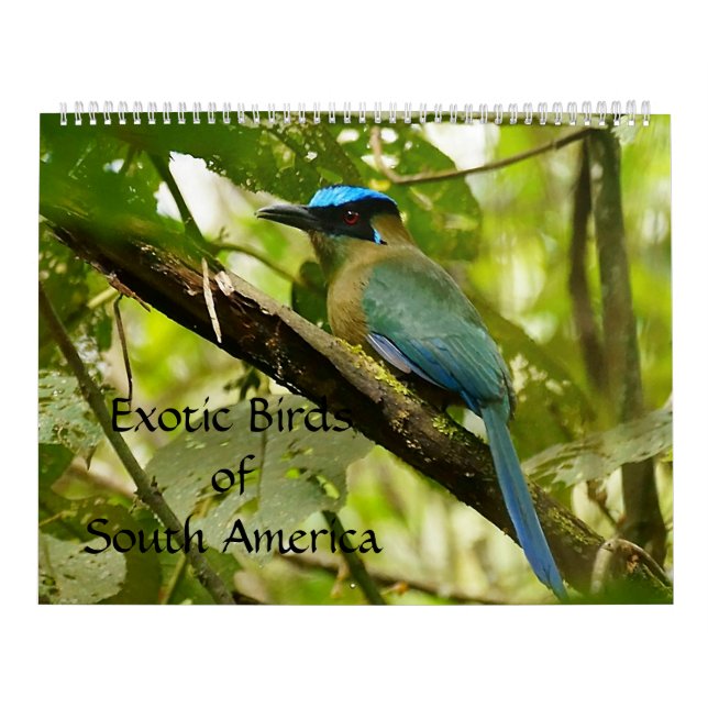 Exotic Birds of South America Calendar 2014 (Cover)
