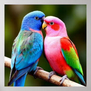 Exotic Birds Perched Together  Parrots Lover Gift Poster