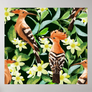 Exotic Birds: Tropical Vintage Print