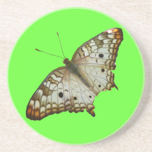 Exotic Butterfly from St. Lucia Coaster