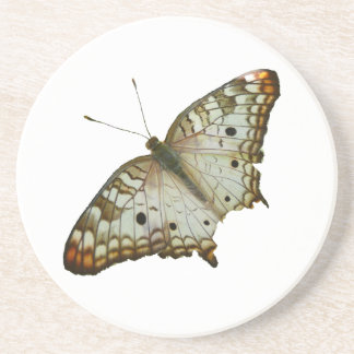 Exotic Butterfly from St. Lucia Coaster