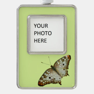 Exotic Butterfly from St. Lucia Silver Plated Framed Ornament