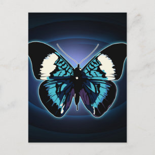 Exotic Butterfly Postcard