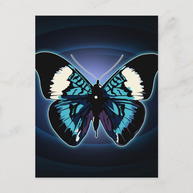 Exotic Butterfly  Postcard (Front)