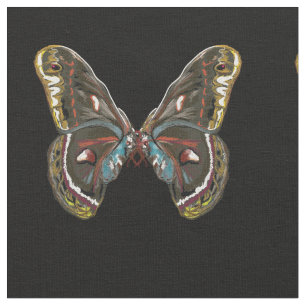 Exotic Butterfy Art Drawing Fabric