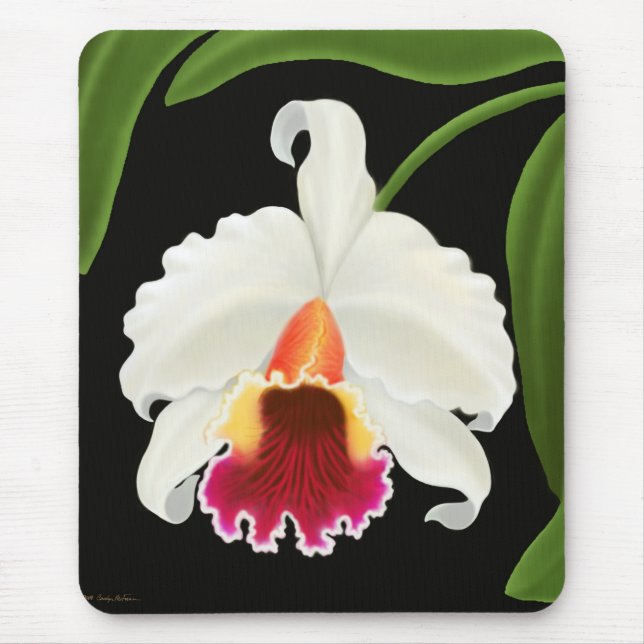 Exotic Cattleya Orchid Flower Mouse Pad (Front)