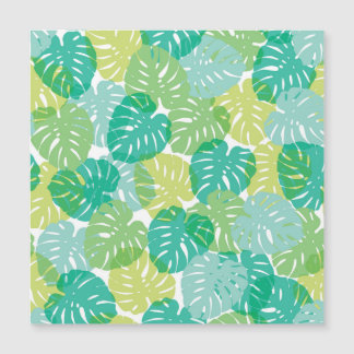 Exotic Cheese Plant: Tropical Monstera