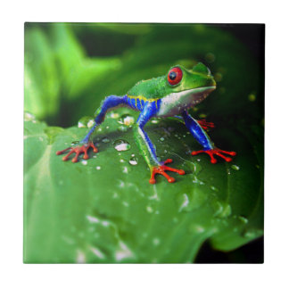 Exotic Colourful Frog Leaf Tile