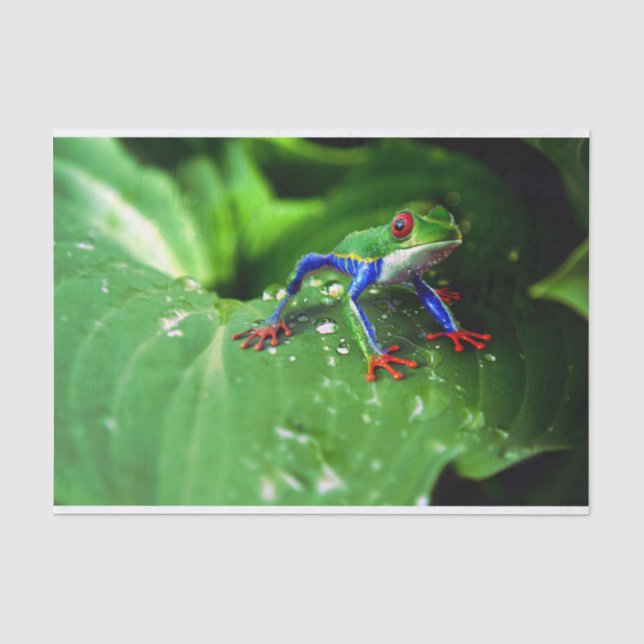 Exotic Colourful Frog Leaf Tissue Paper (Front)