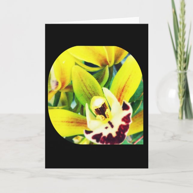 Exotic Cymbidium Orchid Blank Greeting Card (Front)