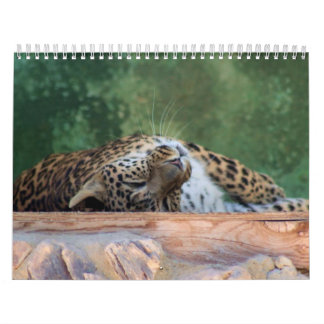 EXOTIC FELINE BREEDING COMPOUND CALENDAR