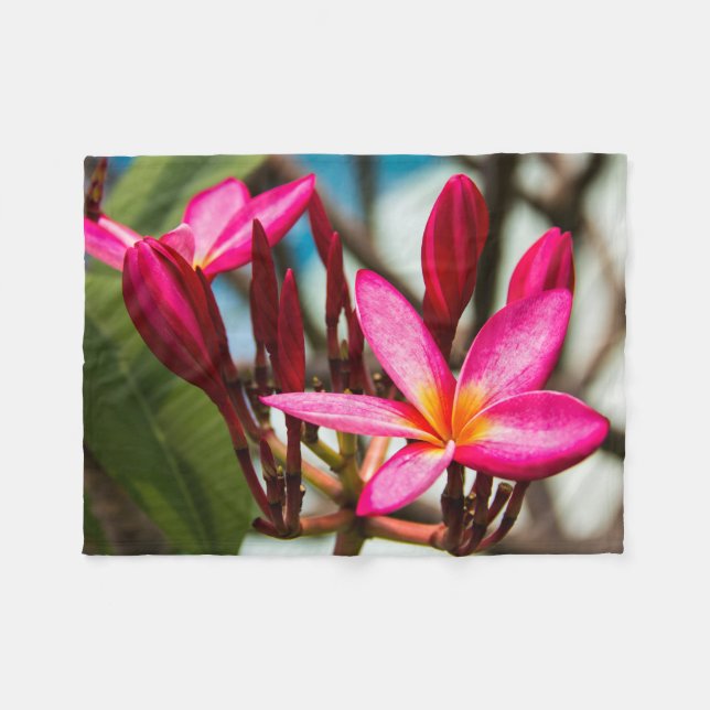 Exotic flower background plumeria blooms fleece blanket (Front (Horizontal))