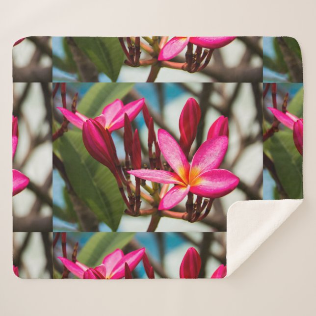 Exotic flower background plumeria blooms sherpa blanket (Front (Horizontal))