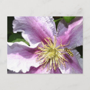 Exotic Flower with Bee Postcard