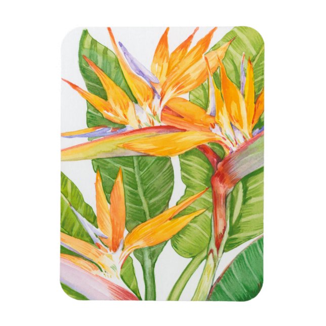 Exotic Flowers Watercolor Magnet (Vertical)