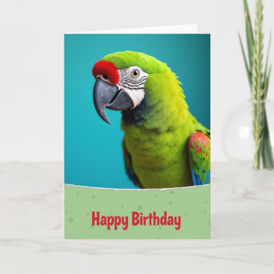 Exotic Green Bird Birthday Card