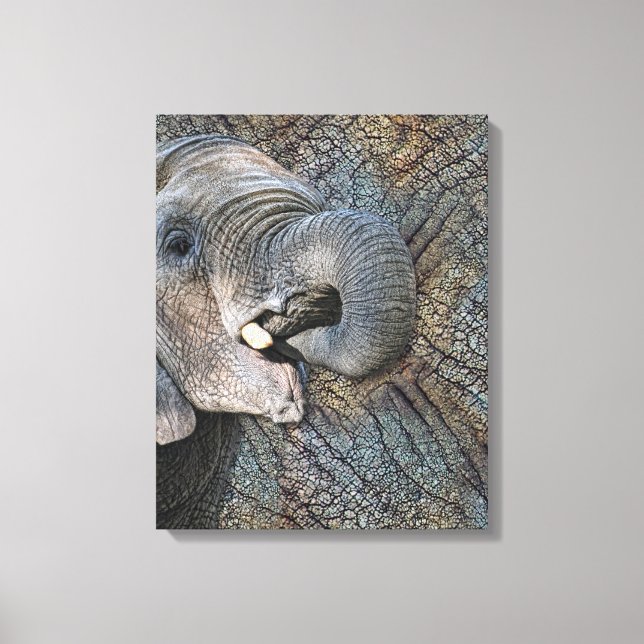 Exotic Grey Elephant Leather Camouflage Animal Canvas Print (Front)