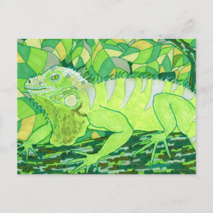 Exotic Iguana Postcard