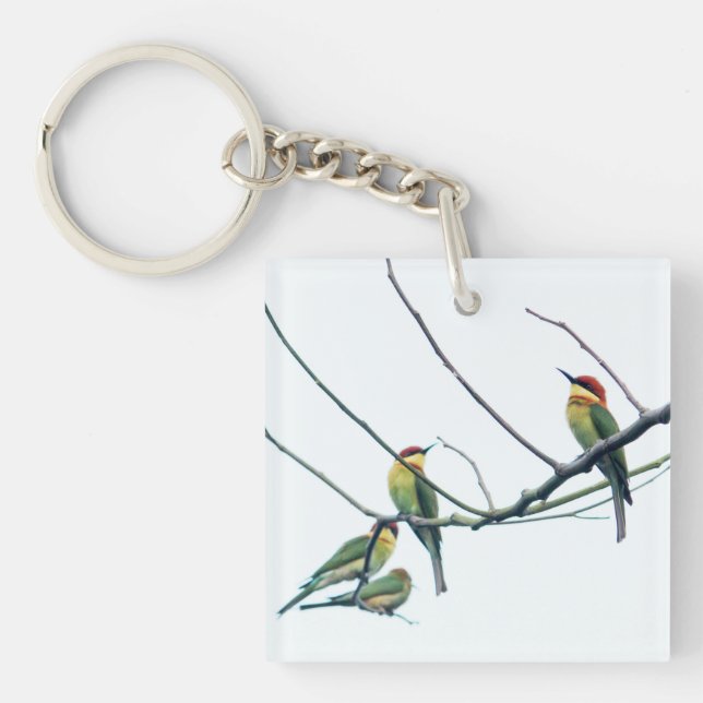 Exotic Indian kerala Bee-Eater Birds on Branch Key Ring (Front)