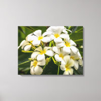 Exotic Island Plumeria Wrapped Canvas Print
