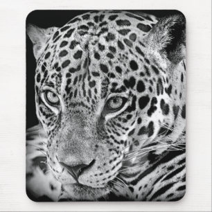 Exotic Jaguar Mouse Pad