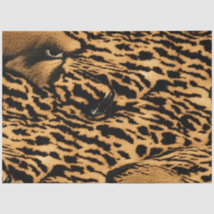 Exotic King Cheatah Tissue Paper