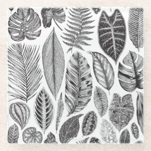 Exotic leaves, vintage floral black and white. glass coaster