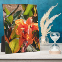 Exotic orange flower