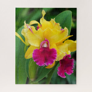 Exotic orchid in yellow and hot pink colours jigsaw puzzle