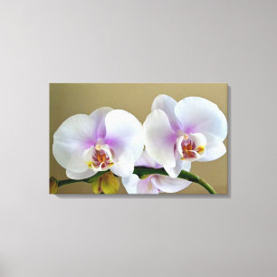Exotic Orchid Photograph on Canvas Art