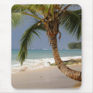 exotic palm tree on beach mouse pad