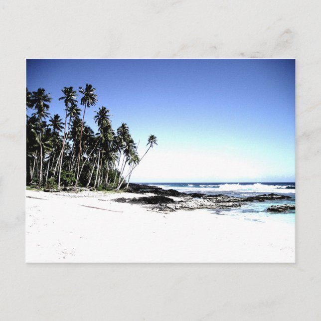 Exotic Palm Trees & Paradise Beach Postcard (Front)