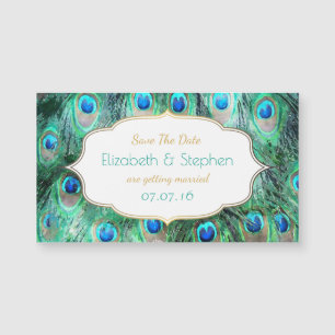Exotic Peacock Feathers w/ Frame Save The Date