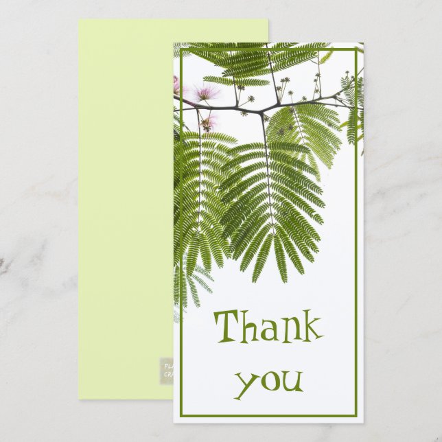 Exotic Persian Silk Tree foliage Thank You Card (Front/Back)