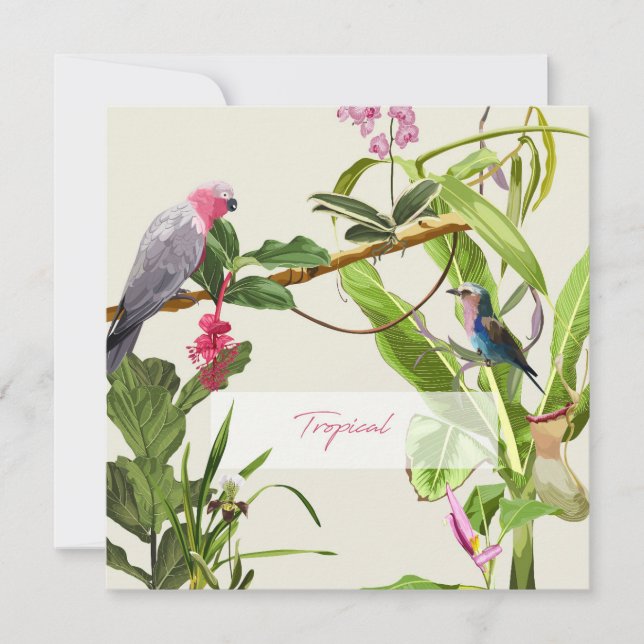 Exotic pink parrot tropical illustration card (Front)