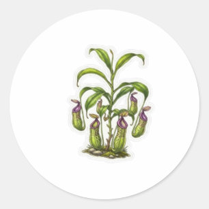 Exotic Pitcher Plant Art - Rare Indonesian Carnivo Classic Round Sticker